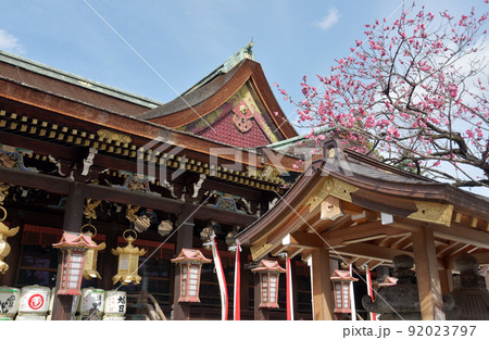 北野天満宮　拝殿と梅の花　京都市上京区 92023797