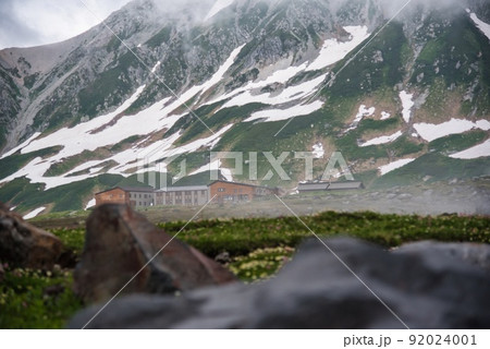 室堂平(立山連峰 残雪 雲の間 霧の間 小さな花) 室堂平(立山連峰 残雪 雲の間 霧の間 小さな花) 92024001