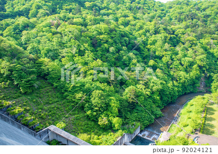 四万川ダム　奥四万湖　ダム下の風景　新緑の季節　 92024121