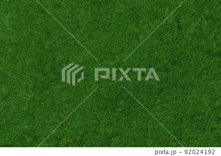 俯瞰した芝生のテクスチャー 92024192
