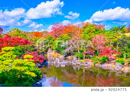 万博公園 日本庭園の紅葉 万博公園 日本庭園の紅葉 92024775