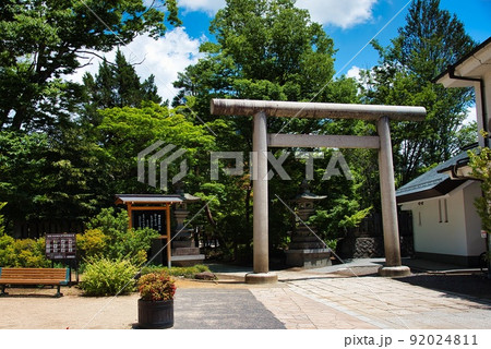 松本市街（四柱神社　鳥居　樹々） 92024811