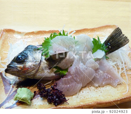 新鮮メバルの活き造りの写真 92024923