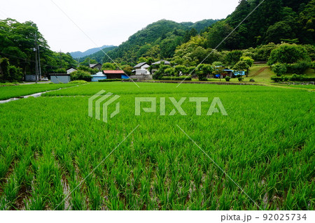 八王子市恩方陣馬街道 八王子市恩方陣馬街道 92025734