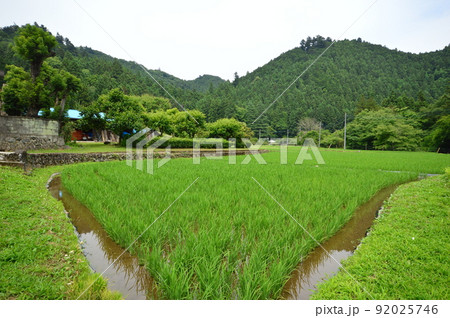 八王子市恩方陣馬街道 92025746