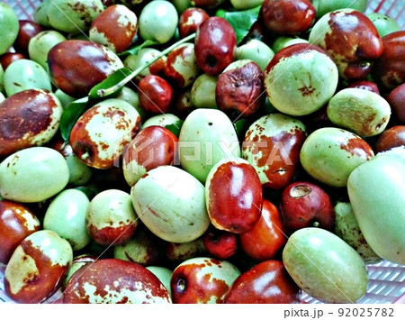 秋 お盆 秋夕 92025782