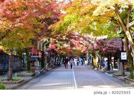 岐阜県揖斐郡 谷汲山華厳寺門前参道と色鮮やかな紅葉 岐阜県揖斐郡 谷汲山華厳寺門前参道と色鮮やかな紅葉 92025935