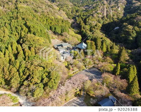 両子山の森の中腹に建つ両子寺の空撮 92026388