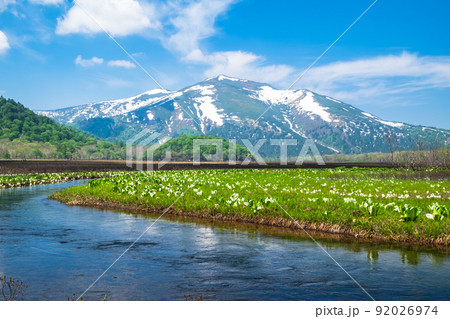 下の大堀川と水芭蕉 92026974