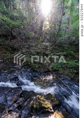 鮮やかな緑の中を流れ落ちる七つ滝 92027644