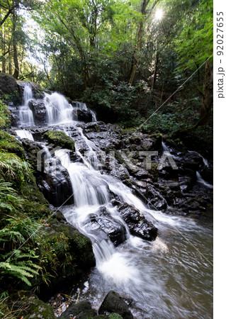 鮮やかな緑の中を流れ落ちる七つ滝 92027655