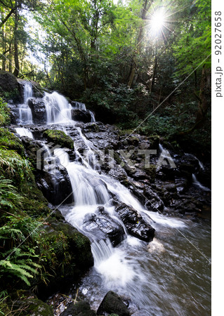 鮮やかな緑の中を流れ落ちる七つ滝 92027658