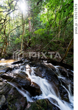 鮮やかな緑の中を流れ落ちる七つ滝 92027679