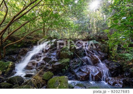 鮮やかな緑の中を流れ落ちる七つ滝 92027685