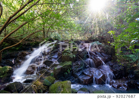 鮮やかな緑の中を流れ落ちる七つ滝 92027687