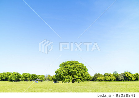 緑と青空の広がる風景 緑と青空の広がる風景 92028841