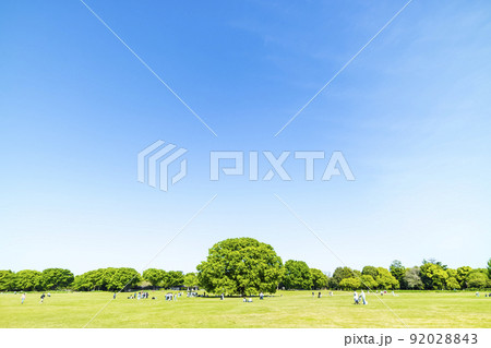 緑と青空の広がる風景 92028843