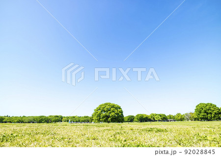 緑と青空の広がる風景 92028845