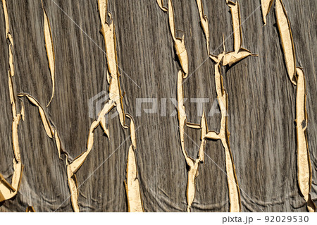 Cracked paint on aged wood surface. Grunge crackle texture. Fractured pattern. Background Cracked paint on aged wood surface. Grunge crackle texture. Fractured pattern. Background 92029530
