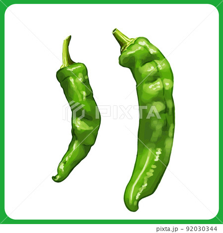手描き水彩の万願寺唐辛子イラスト02のイラスト素材 [92030344] - PIXTA