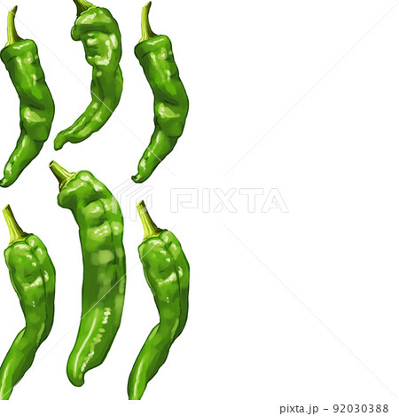 手描き水彩の万願寺唐辛子イラスト正方形フレーム・左のイラスト素材