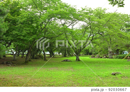 日本100名城・彦根城 92030667