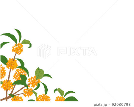 金木犀のフレーム⑪(ななめ,左下部) 92030798