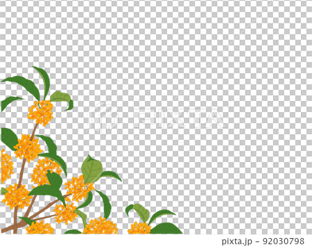 金木犀のフレーム⑪(ななめ,左下部) 92030798