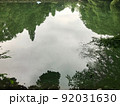 反射の綺麗な井の頭公園の池 92031630