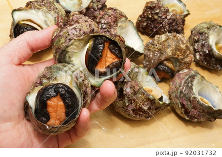 壺焼きが美味しいサザエ 92031732