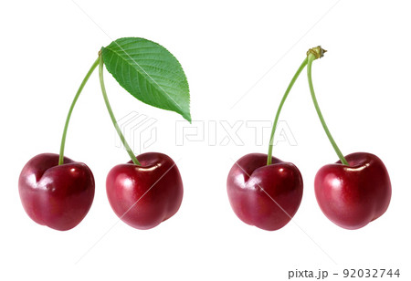 アクリル画 無題 105 『アメリカンチェリー 』 s277_a-cherry.png