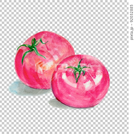 Tomato Tomato 92032885