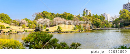 桜の花咲く日本庭園パノラマ風景「観光名所:水前寺成趣園」 桜の花咲く日本庭園パノラマ風景「観光名所:水前寺成趣園」 92032899
