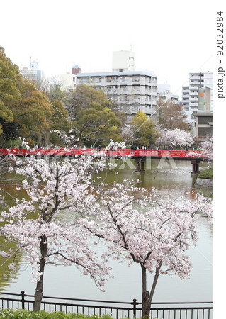 天王寺公園桜 天王寺公園 桜 あべのハルカス 川底池 てんしば 和気橋 通天閣 ソメイヨシノ 天王寺公園桜 天王寺公園 桜 あべのハルカス 川底池 てんしば 和気橋 通天閣 ソメイヨシノ 92032984