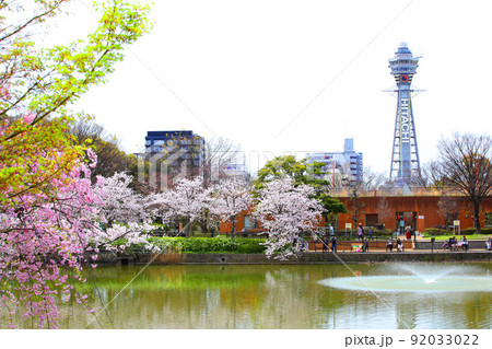 天王寺公園桜 天王寺公園 桜 あべのハルカス 川底池 てんしば 和気橋 通天閣 ソメイヨシノ 天王寺公園桜 天王寺公園 桜 あべのハルカス 川底池 てんしば 和気橋 通天閣 ソメイヨシノ 92033022