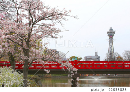 天王寺公園桜 天王寺公園 桜 あべのハルカス 川底池 てんしば 和気橋 通天閣 ソメイヨシノ 天王寺公園桜 天王寺公園 桜 あべのハルカス 川底池 てんしば 和気橋 通天閣 ソメイヨシノ 92033023