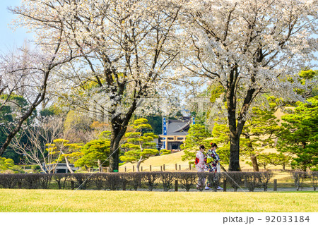出水神社 鳥居を背景に桜の木風景「観光名所:水前寺成趣園」 出水神社 鳥居を背景に桜の木風景「観光名所:水前寺成趣園」 92033184