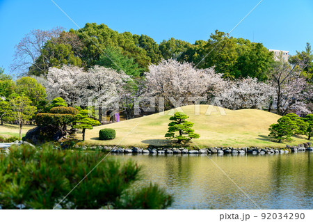 桜の花咲く日本庭園・桜の木風景「観光名所：水前寺成趣園」 92034290