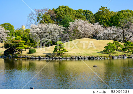 桜の花咲く日本庭園・桜の木風景「観光名所：水前寺成趣園」 92034583