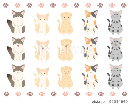 人気猫種セット 人気猫種セット 92034640