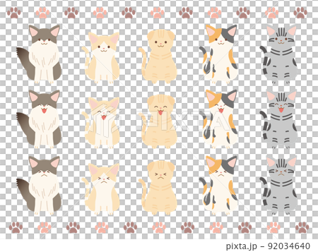 人気猫種セット 人気猫種セット 92034640