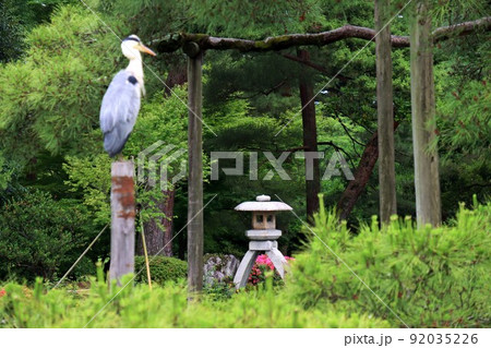 兼六園 92035226