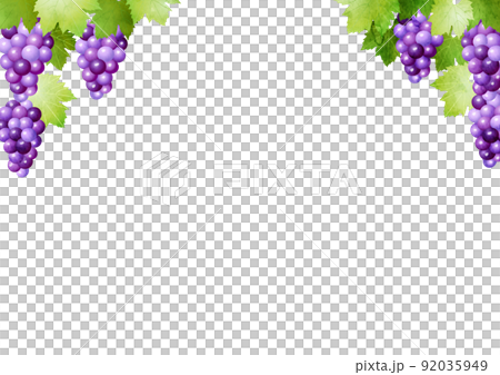 水平紫色葡萄架 水平紫色葡萄架 92035949