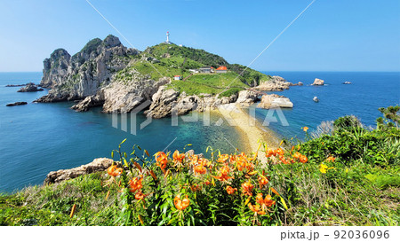 灯台島 ソメムルも ナリコト 92036096