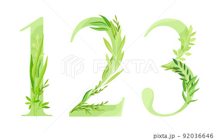 1,2,3 numbers made of green leaves. Green leaves font cartoon vector illustration 92036646