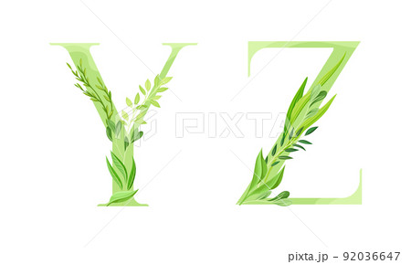 Ecology english alphabet letters. Green leaves font. Y,Z letters cartoon vector illustration 92036647