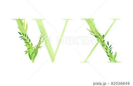 Ecology english alphabet letters. Green leaves font. W,X letters cartoon vector illustration Ecology english alphabet letters. Green leaves font. W,X letters cartoon vector illustration 92036649