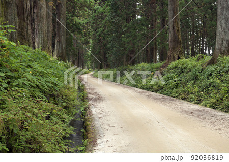日光杉並木街道の杉と道 92036819