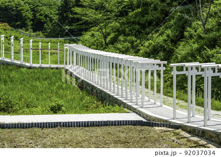 済渡寺　千本鳥居　岡山県新見市 92037034