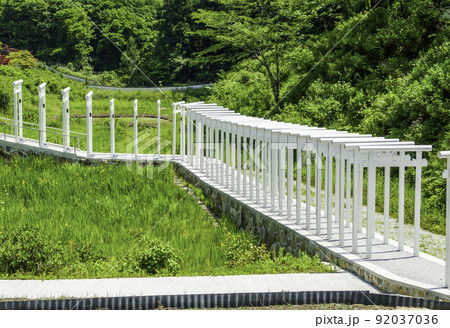 済渡寺 千本鳥居 岡山県新見市 済渡寺 千本鳥居 岡山県新見市 92037036